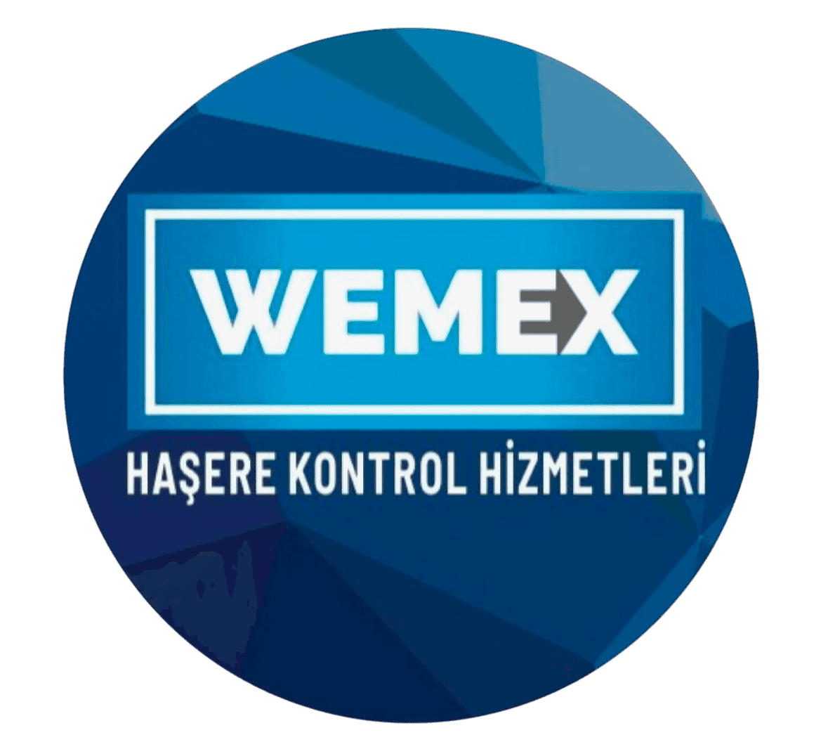 WEMEX Hakkımızda